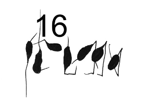 16/sixteen by Sophie Loss