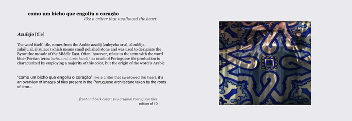 Como um bicho que engoliu o coração - Like a critter that swallowed your heart by Ana Efe