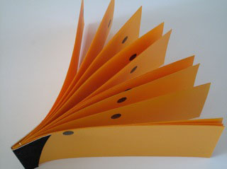 Venus Transit by Barbara Greene