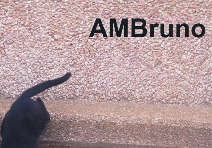 AMBruno at Arts Libris, Barcelona 2014