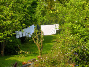 Eleven Views of Fiona's Washing Line by Cally Trench