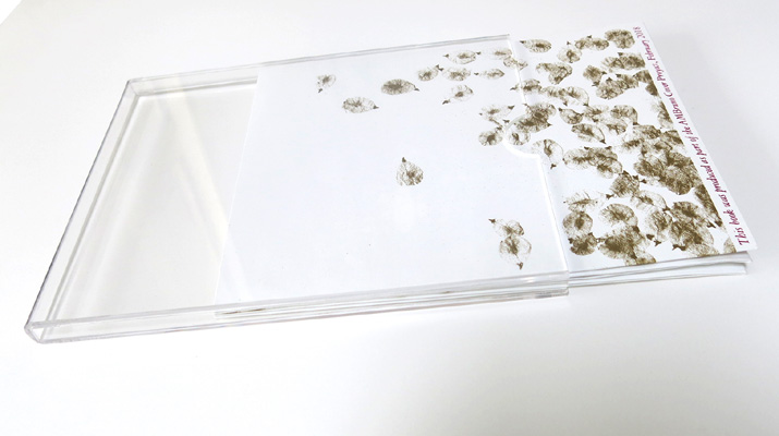 Martha Hellion, The Seeds