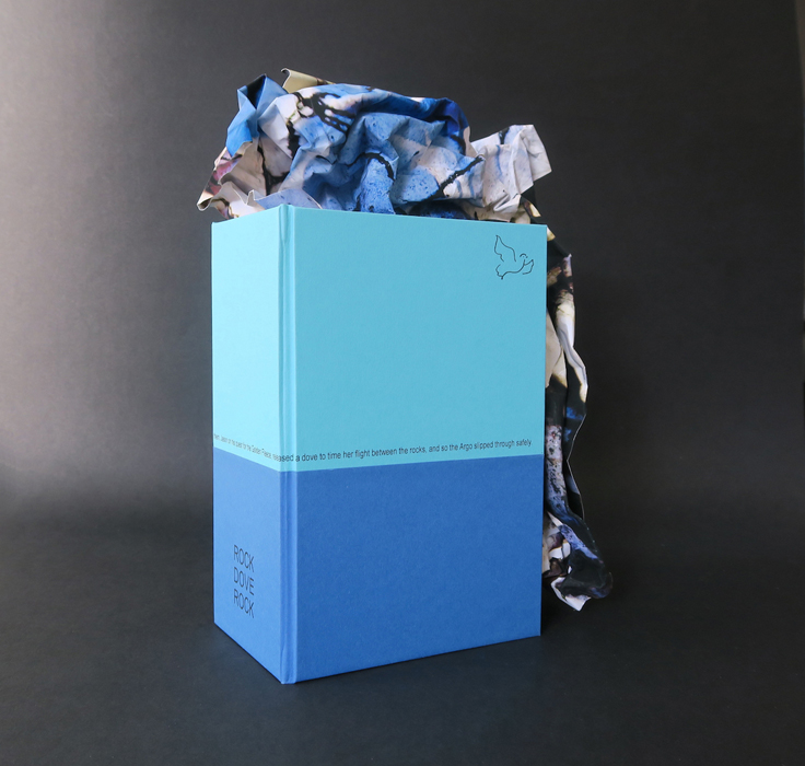 Rock Dove Rock    - Sophie Loss