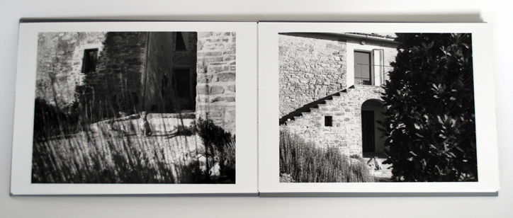 SUNNY f16 at SIEPI by Kathryn Faulkner