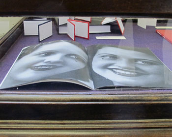 AMBruno: Collaborative Projects and Collections 2013