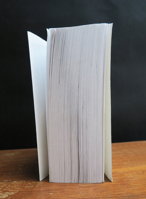 Project brief - <i>One and many pages