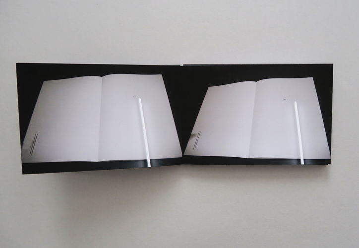 SECESSION: Inside Out-Outside In [IO-OI]  - Sumi Perera