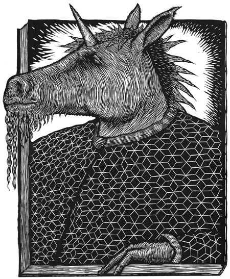 The Unicorn by Peter Rapp