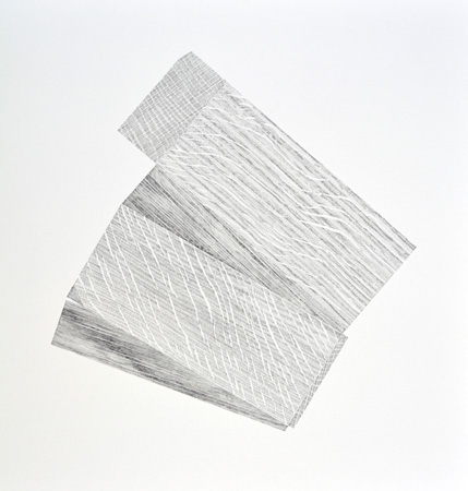 A Net of a Wedge  by Cally Trench
