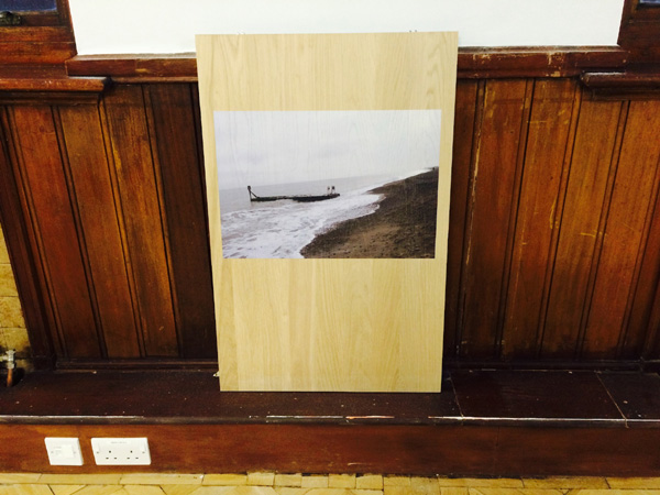 Forest: Concrete: Sea  by Judy Goldhill