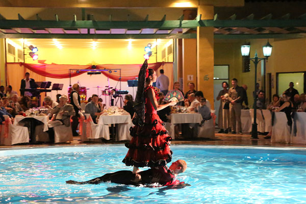 Sanguine Shifts by Judy Goldhill