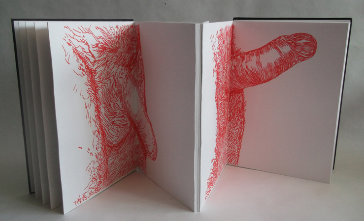 Peacock by Philip Lee