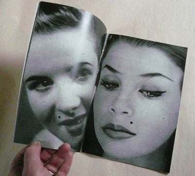 Mes Mouches by Sharon Kivland