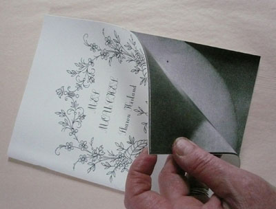 Mes Mouches by Sharon Kivland