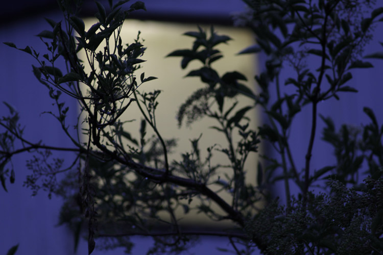 The Sky is Crying by Steve Perfect