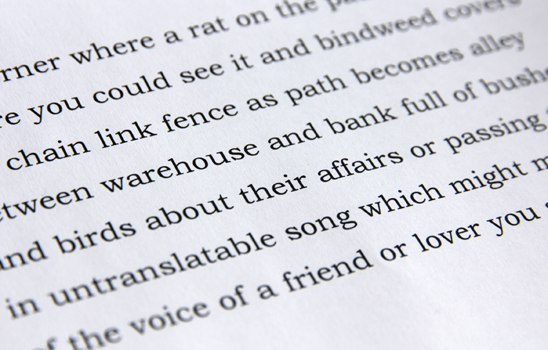 No Return by Steve Perfect