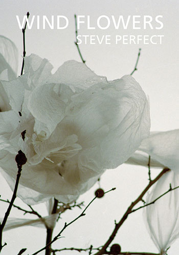 Wind Flowers by Steve Perfect