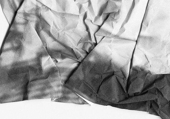 Factum no. 24  by Sophie Loss