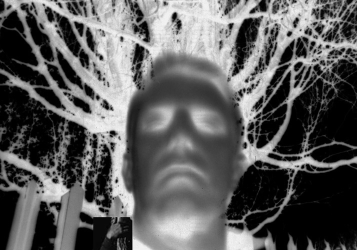 The Night Man  by Steve Perfect